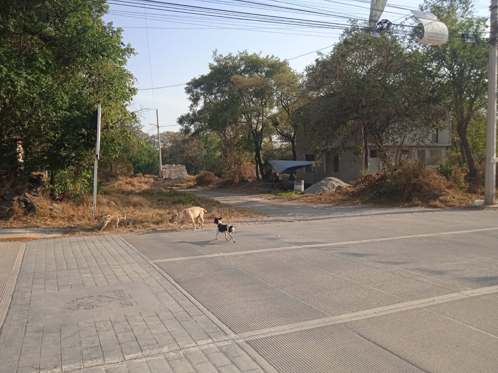Terreno en Girasoles